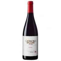 Bodegas Palacio Glorioso Reserva 2009 - 红酒