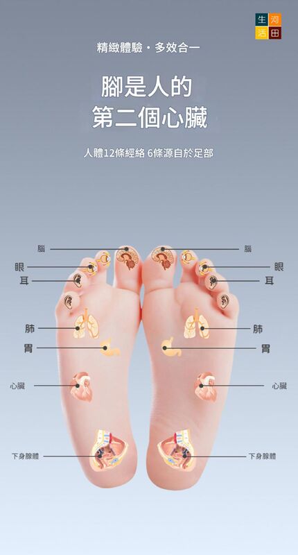 多功能指壓按摩板(滾輪款式│米色)│家用按摩│腳底穴位按摩器│通經絡腳踩板│滾輪足底按摩腳墊