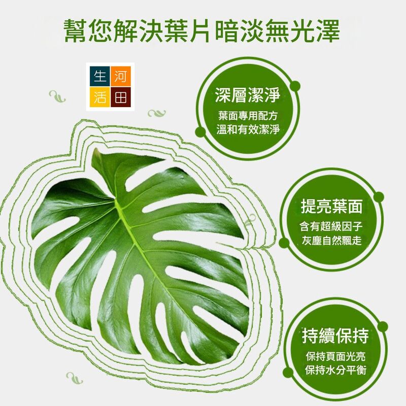 THEAOSON鮮葉光亮劑650ml│鮮切花保鮮劑│玫瑰百合植物通用型營養液│鮮花保鮮液