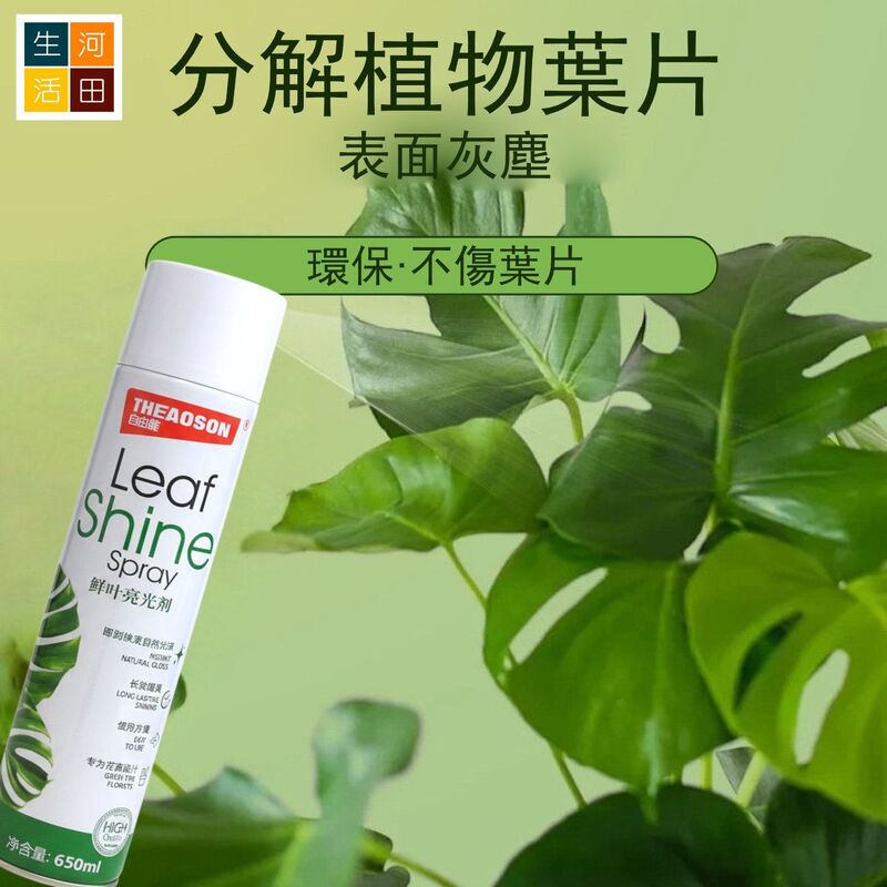 THEAOSON鮮葉光亮劑650ml│鮮切花保鮮劑│玫瑰百合植物通用型營養液│鮮花保鮮液