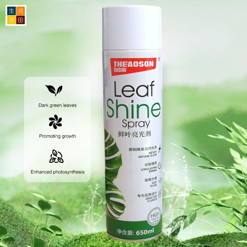 THEAOSON鮮葉光亮劑650ml│鮮切花保鮮劑│玫瑰百合植物通用型營養液│鮮花保鮮液