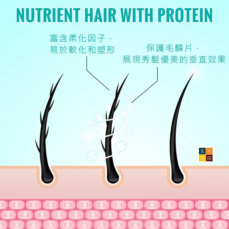 SEFUDUN蛋白矯正髮型乳膏(60ML)│改善卷曲乾枯│滋養毛髮│柔軟髮質