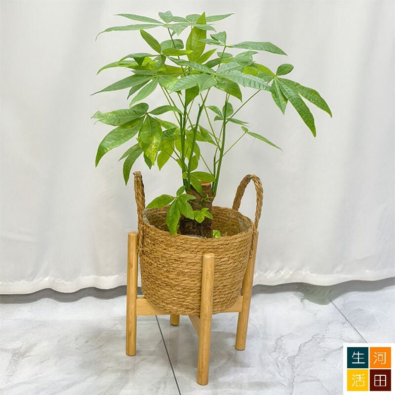 落地花盆連木質支撐架 客廳盆栽大花盆托架 陽台植物擺放架組合