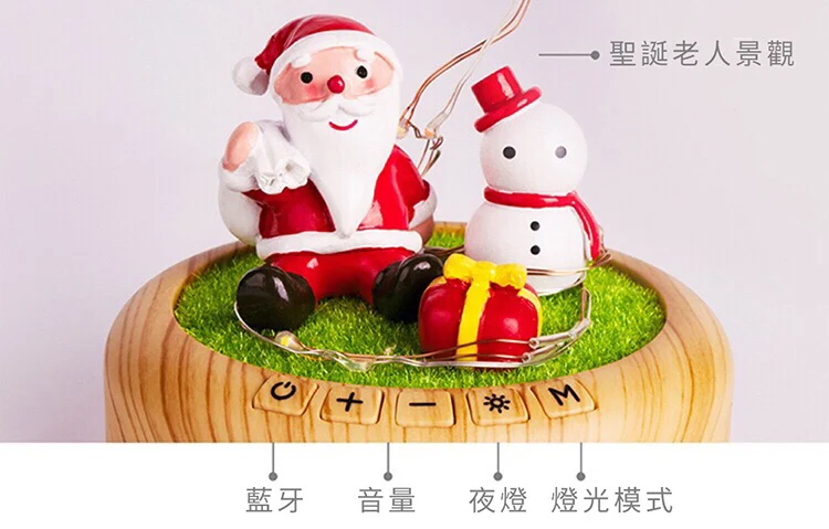 LED永生花許願瓶連藍牙音響 [2款]【情人節精選】