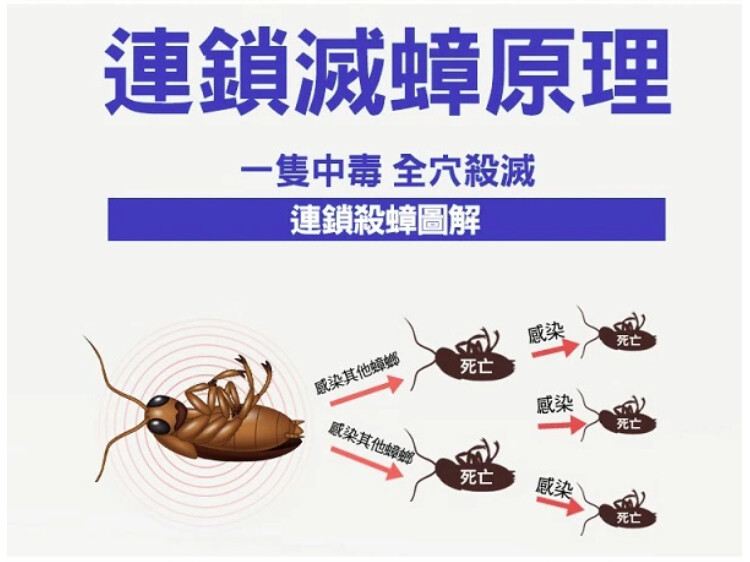 一點絕 蟑螂凝膠餌劑 4 一點絕 蟑螂凝膠餌劑 4