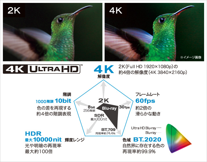 Buffalo - BRUHD-PU3-BK Ultra HD Blu-Ray Writer(行貨一年保養)