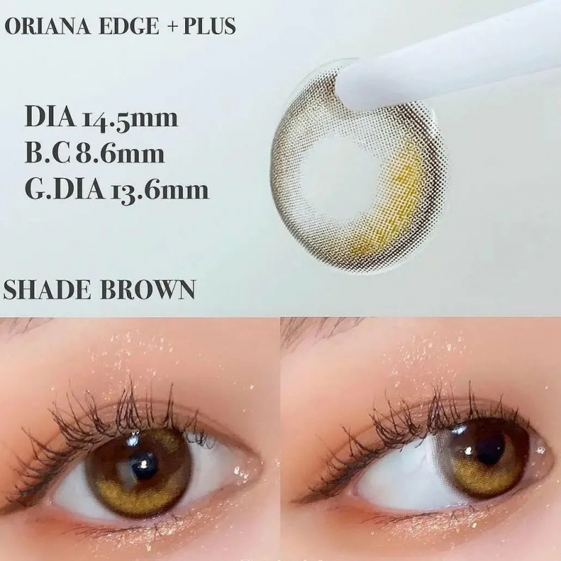 【I-SHA】Oriana Edge Plus 1day Brown 14.5mm 【アイシャ】オリアナエッジプラスワンデーブラウン