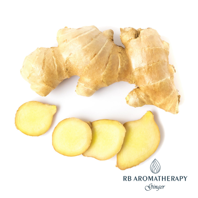 生薑超臨界CO2精油 Ginger