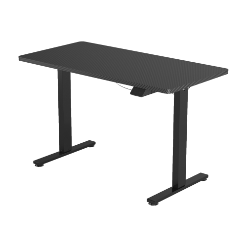 X-Win【DE系列】碳鋼木面升降電腦桌 [黑色/白色/木色] [1.2米/1.4米 ]