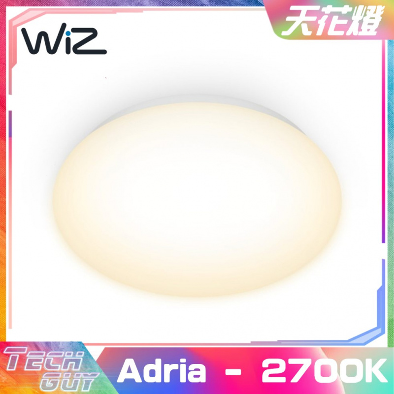 WiZ【Adria】17W 可調光天花燈 [4000K/2700K]