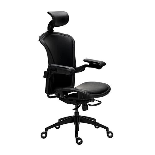 Tesoro Alphaeon E5 Hybrid 混合型皮革版人體工學椅