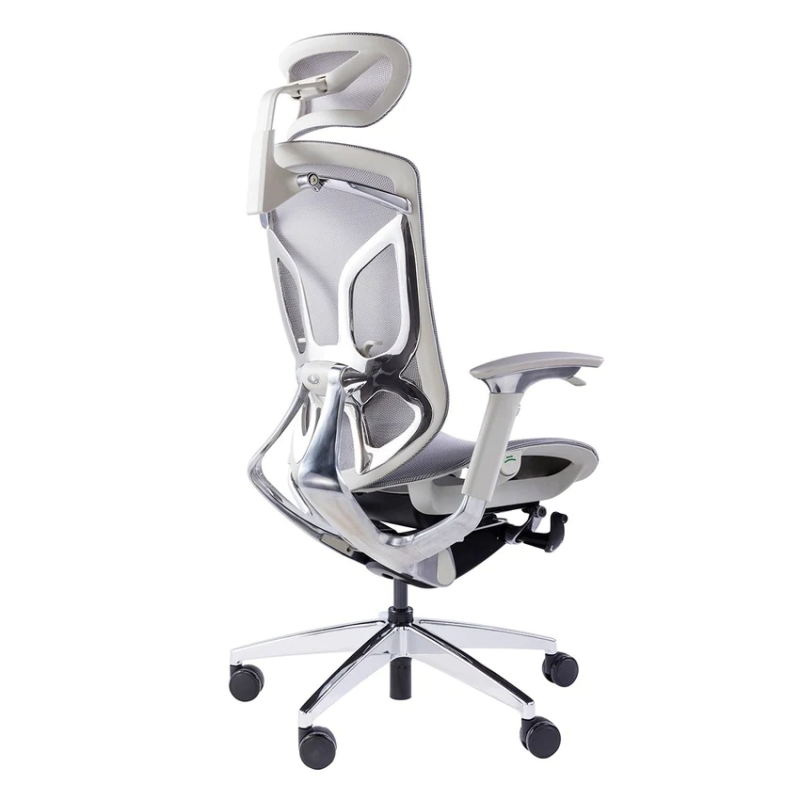 GTChair Dvary X 人體工學網椅