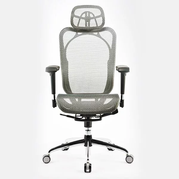 iRocks 艾芮克 Ergonomic Chair 人體工學椅 T05【四色可選】