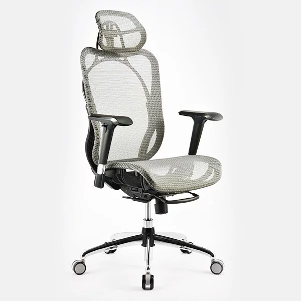 iRocks 艾芮克 Ergonomic Chair 人體工學椅 T05【四色可選】