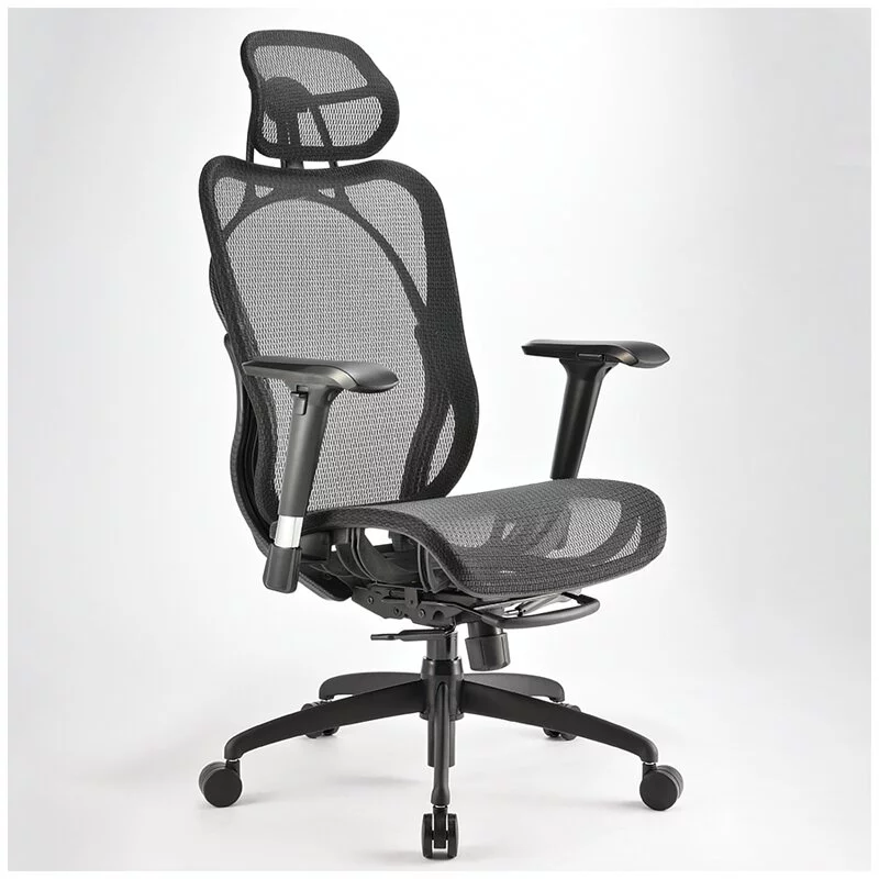 iRocks 艾芮克 Ergonomic Chair 人體工學椅 T05【四色可選】