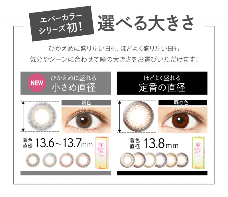 Ever Color 1day MOIST LABEL 彩色隱形眼鏡一盒10片•原裝行貨