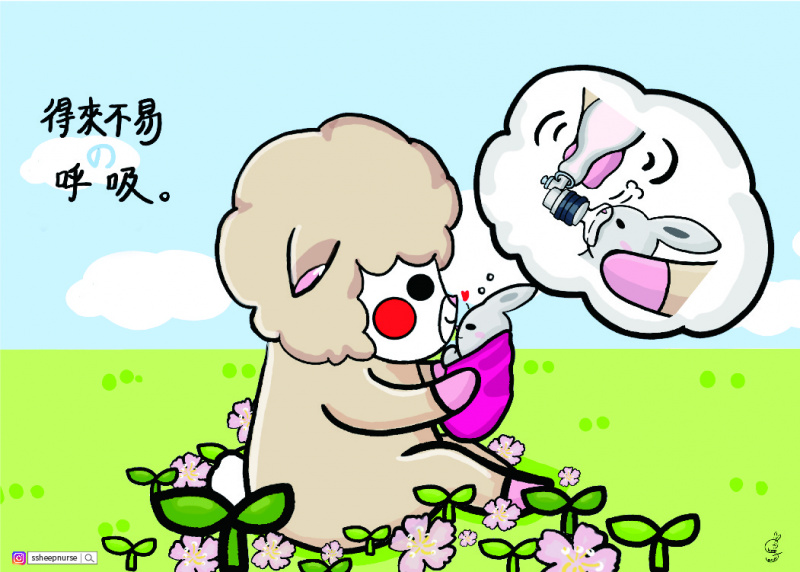 青海兒童明信片套裝