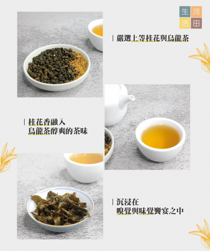Tea Stuck-台灣桂花烏龍袋茶(30包) | 高山烏龍茶包 |三角立體茶包|冷泡茶(平行進口)