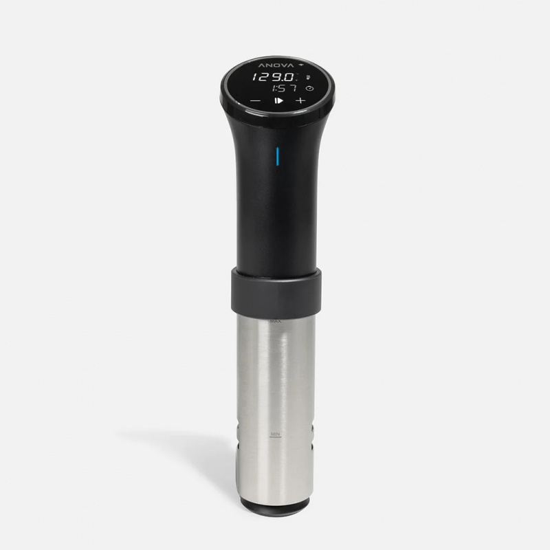 Anova Precision Cooker 3.0 雙頻 WiFi 智能慢煮棒 AN525-UK00