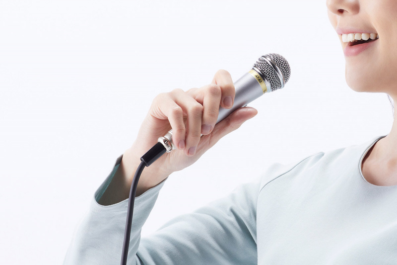 【 原裝正貨 平行進口】Audio-technica AT-X3 Vocal microphone