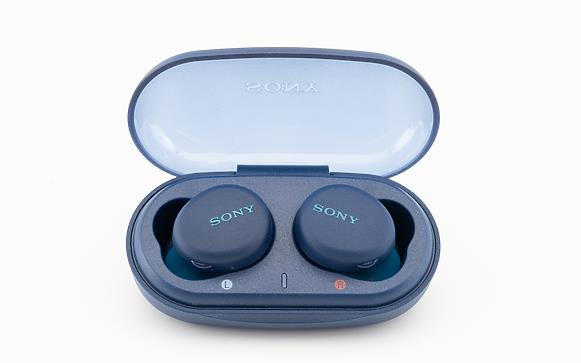 Sony WF-XB700 真無線藍牙防水耳機  [2色]
