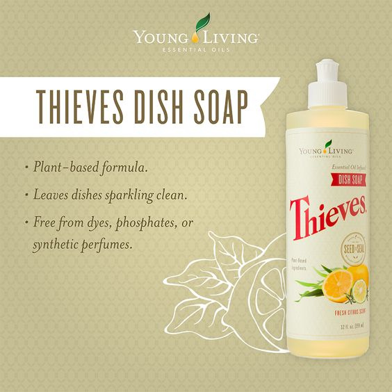 美國 Thieves盜賊配方 潔碗液  無毒天然 Young Living Dish Soap USA