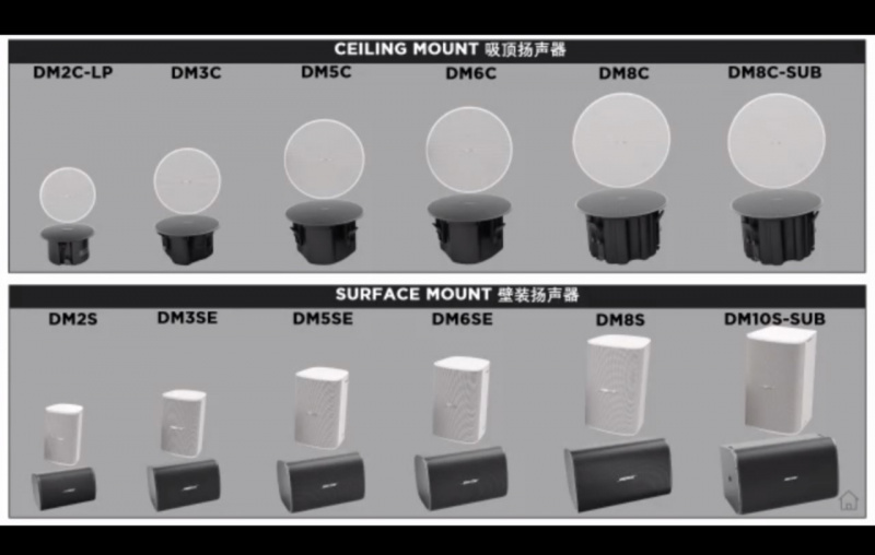 BOSE® DesignMax®  DM2C-LP in-ceiling loudspeaker (1 pair)