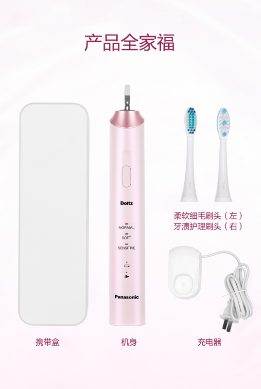 【平行進口 原裝正貨】Panasonic 樂聲 EW-DC12 電動聲波震動牙刷