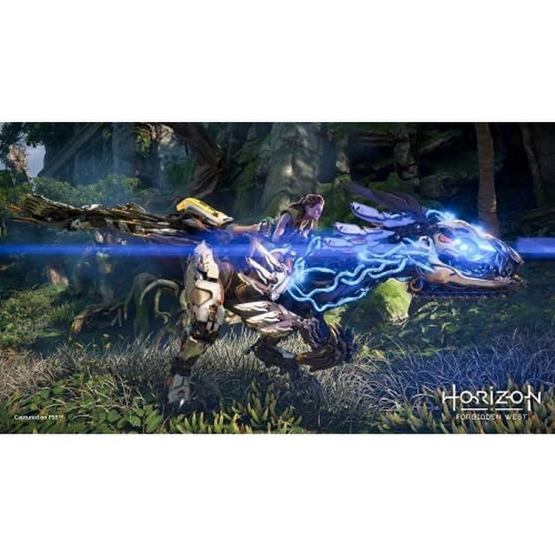 PS4 / PS5 地平線 西域禁地 雷加拉版 (中英文版)（免運費） （現已有售，24小時內寄出貨品）（此貨品已經設定為免運費送貨服務）