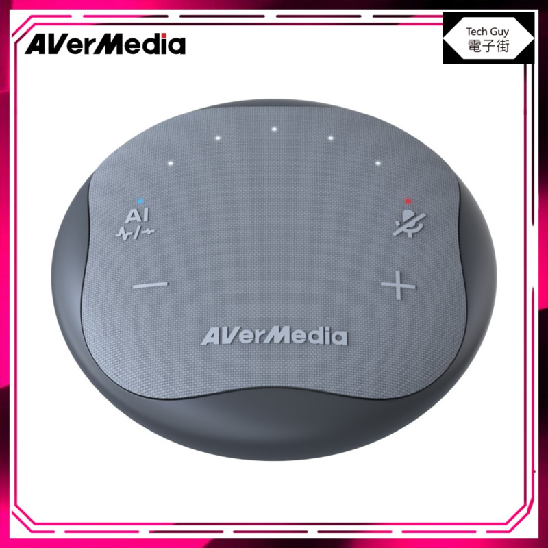 AverMedia【AS315】Type-C 抗噪通話音箱 AS315