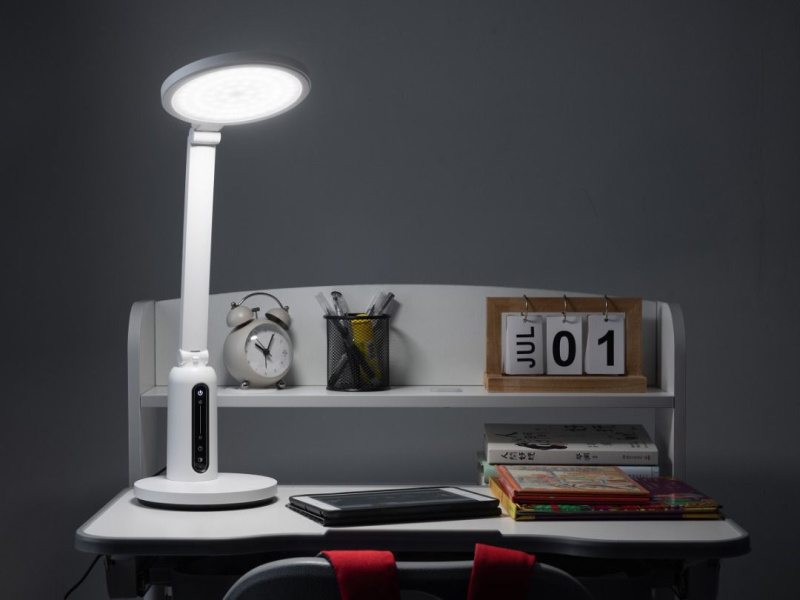 Philips 飛利浦 Einstein Eco 讀寫護眼檯燈 66194