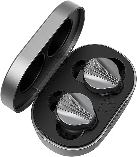 FiiO FW3 HiFi級真無線藍牙耳機 [支持 LHDC/aptX Adaptive]
