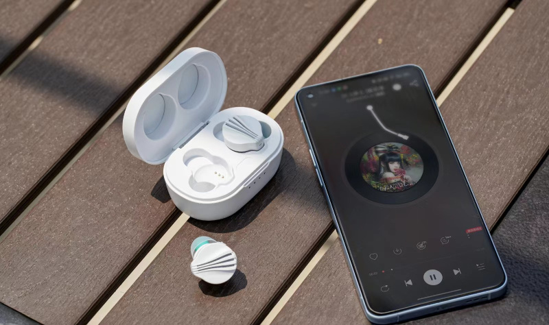 FiiO FW3 HiFi級真無線藍牙耳機 [支持 LHDC/aptX Adaptive]