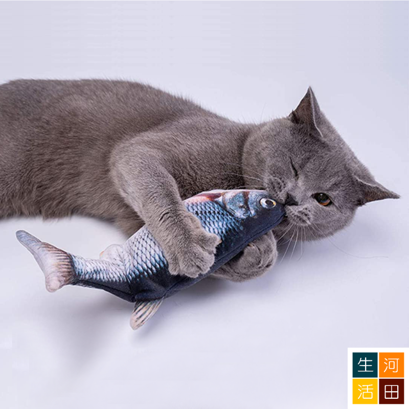 逗貓電動仿真魚 USB充電擺尾玩具魚 寵物貓咪玩具 可拆洗 (鯽魚款)