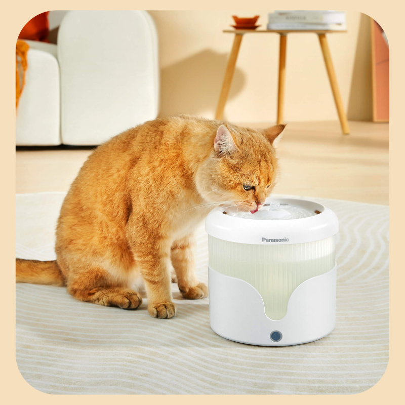 Panasonic 樂聲 CP-JNW01 寵物飲水機(平行進口 原裝正貨)