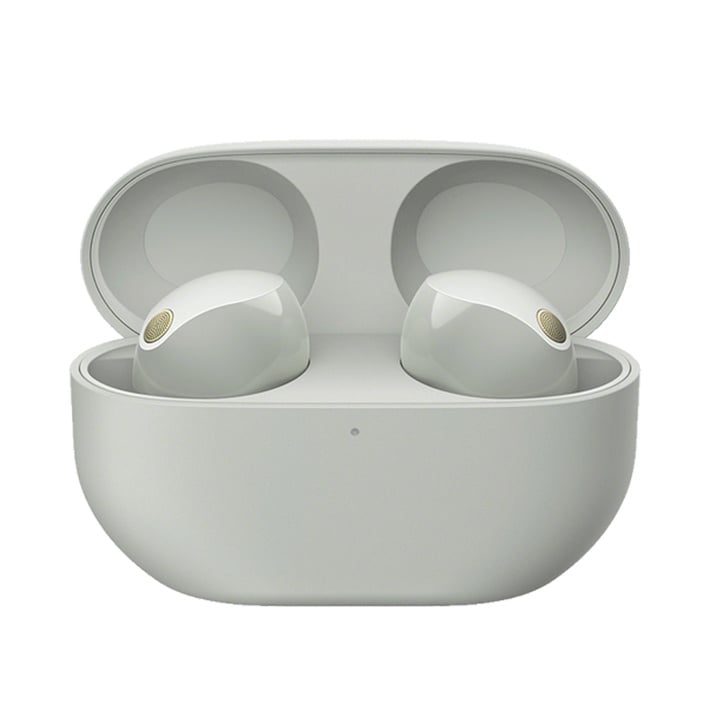 Sony WF-1000XM5 無線降噪耳機 [2色] 平行進口