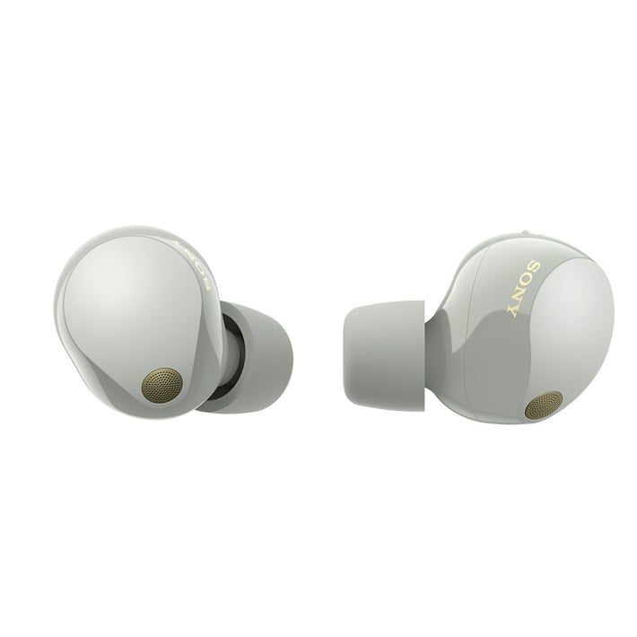 Sony WF-1000XM5 無線降噪耳機 [2色] 平行進口
