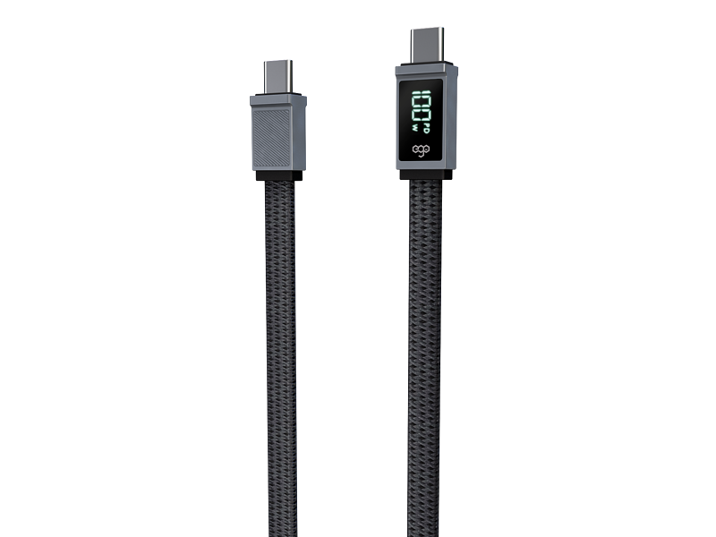 EGO Wiry Max 100W C to C 即時速度顯示充電線