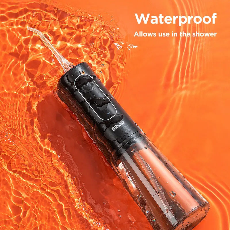 Bitvae C2 專業水牙線機