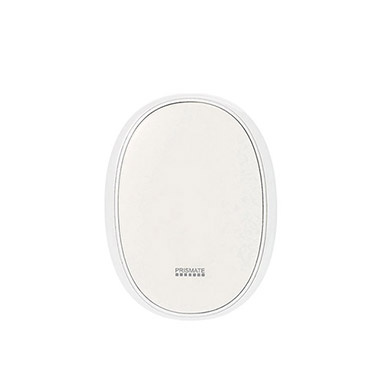 【接受預訂】PRISMATE PR-EA011 生態暖手器