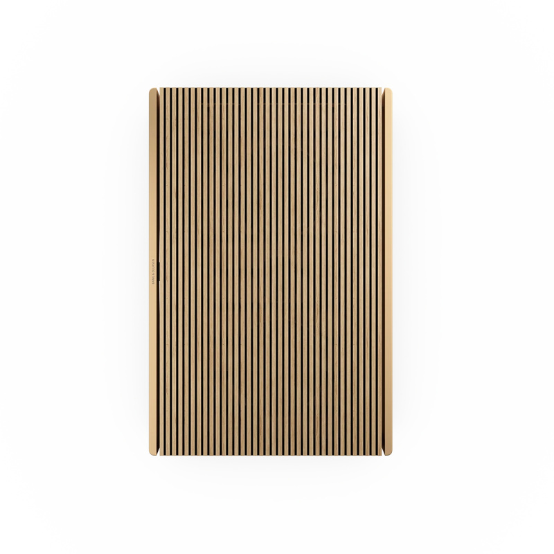 B&O Beosound Level 可攜式喇叭 [2色]