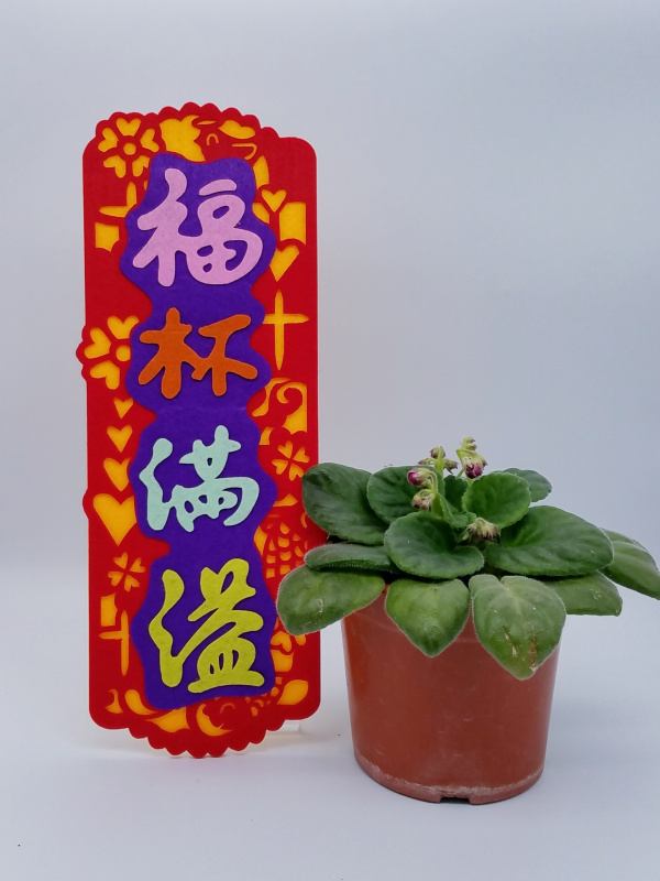 新不織布揮春- 福杯滿溢 / 主賜平安 / 主恩常在 / 常常喜樂 / 凡事謝恩