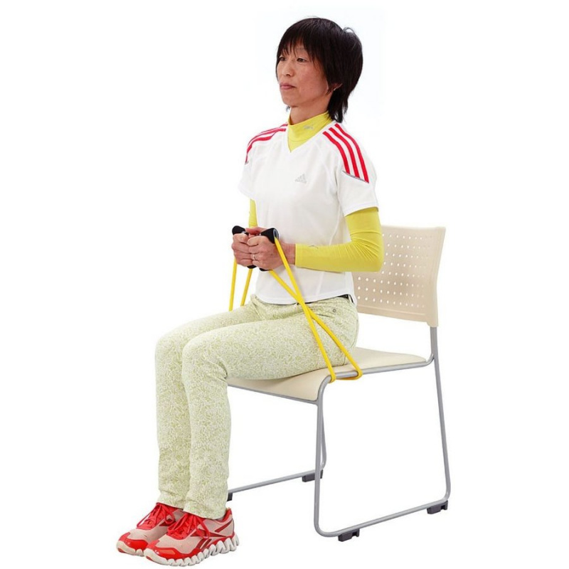 日本 HATACHI 力量訓練拉環