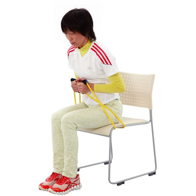 日本 HATACHI 力量訓練拉環