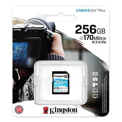 KINGSTON Canvas Go!Plus SD 記憶卡 64GB/128GB/256GB/512GB
