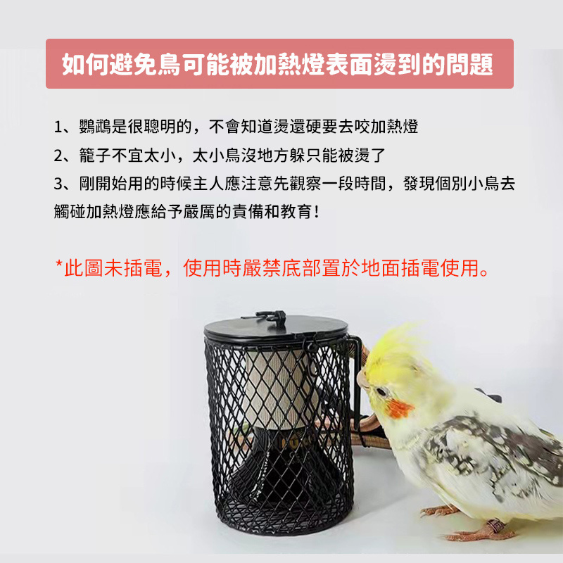 杰克-鸚鵡陶瓷加熱燈 | 保暖燈 | 蜥蜴取暖器 | 防咬防燙網 | 爬蟲保溫燈燈罩-英規插頭燈罩 | 旋轉調節開關線+陶瓷燈（8113）