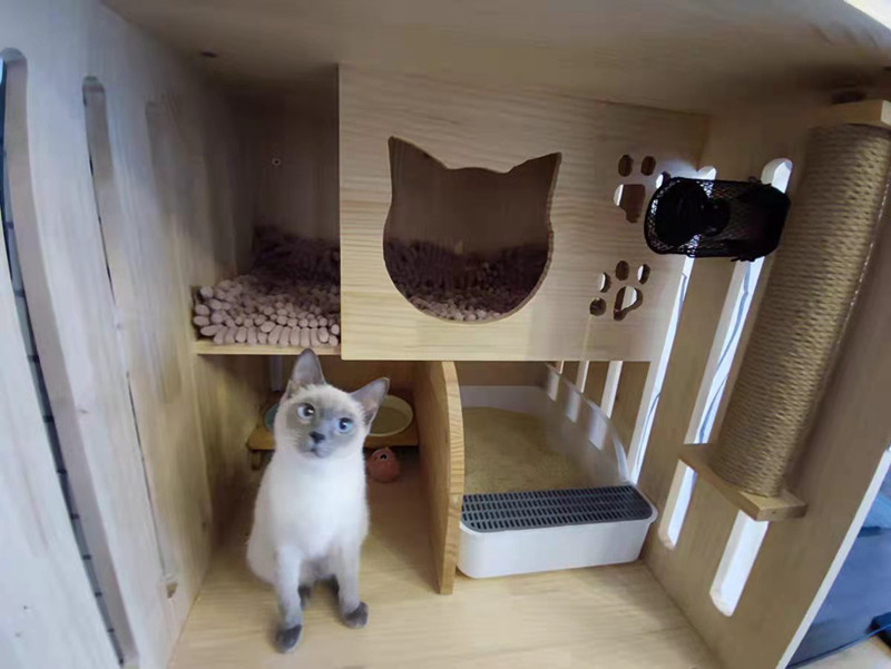 杰克-鸚鵡陶瓷加熱燈 | 保暖燈 | 蜥蜴取暖器 | 防咬防燙網 | 爬蟲保溫燈燈罩-英規插頭燈罩 | 旋轉調節開關線+陶瓷燈（8113）