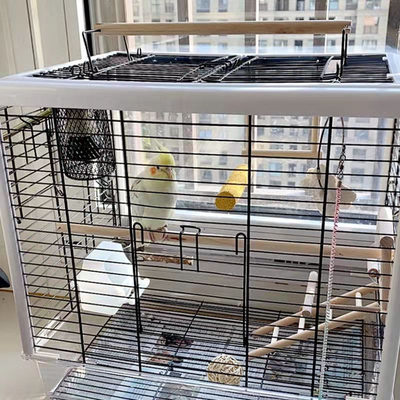 杰克-鸚鵡陶瓷加熱燈 | 保暖燈 | 蜥蜴取暖器 | 防咬防燙網 | 爬蟲保溫燈燈罩-英規插頭燈罩 | 旋轉調節開關線+陶瓷燈（8113）