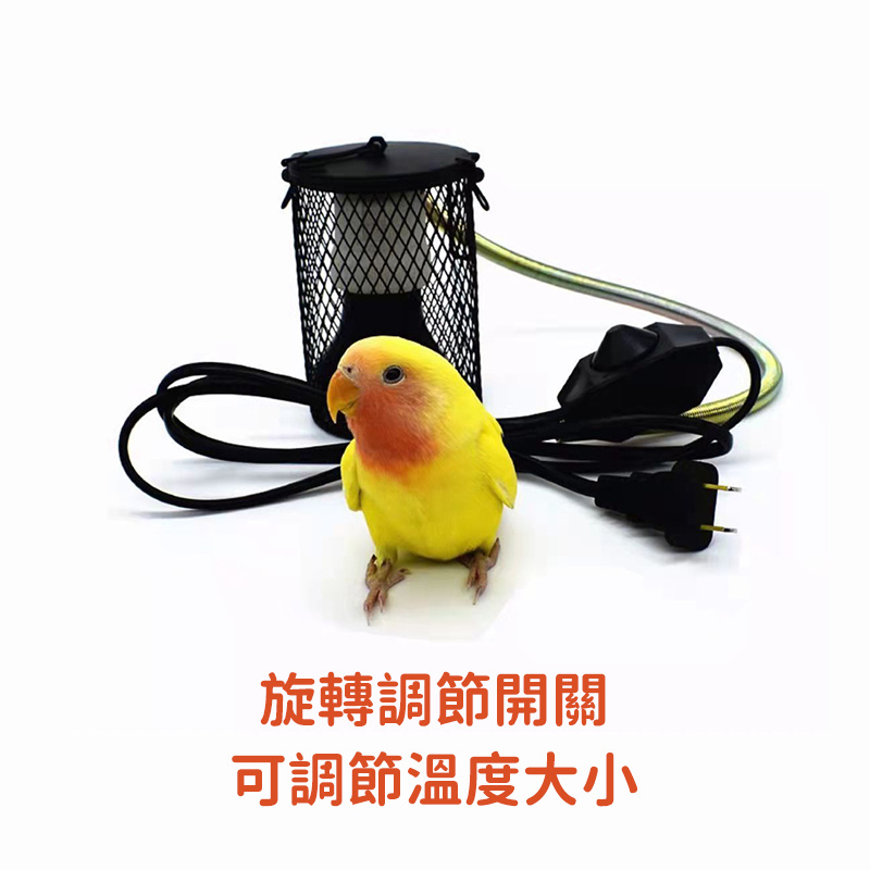杰克-鸚鵡陶瓷加熱燈 | 保暖燈 | 蜥蜴取暖器 | 防咬防燙網 | 爬蟲保溫燈燈罩-英規插頭燈罩 | 旋轉調節開關線+陶瓷燈（8113）