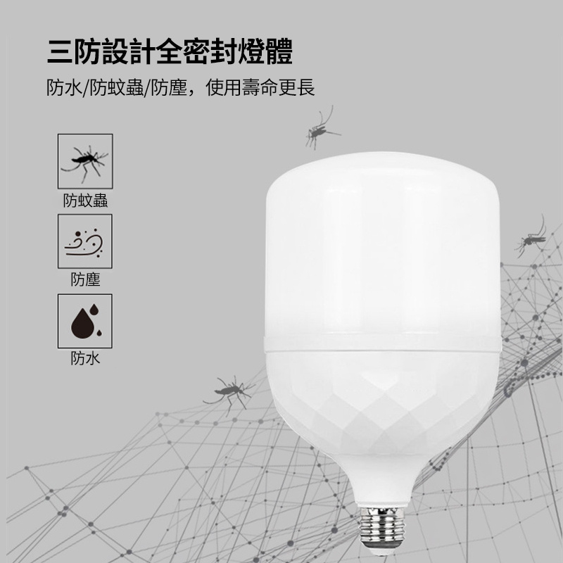 杰克-LED鑽石紋球泡燈丨球膽丨E27 螺頭 球泡丨10W 白光丨2 pcs 裝（5121）